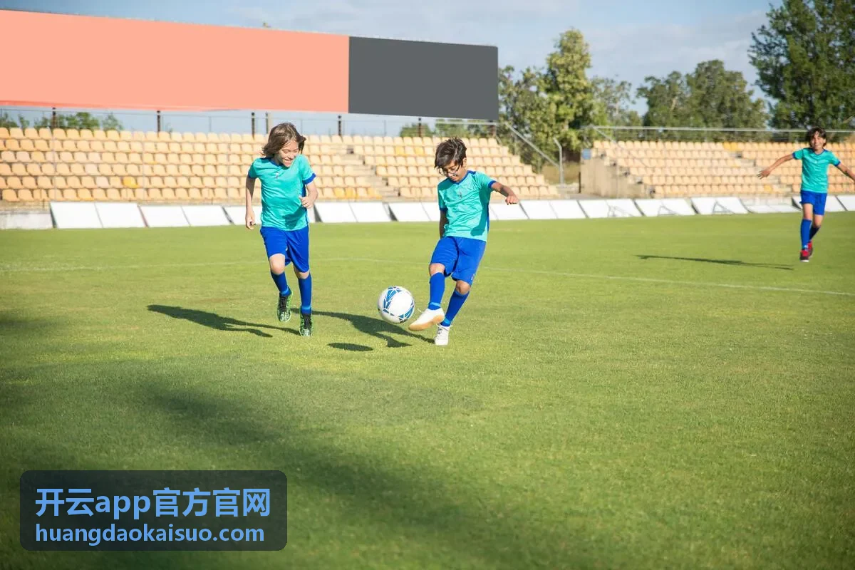 开云app官方官网功能使用顺序