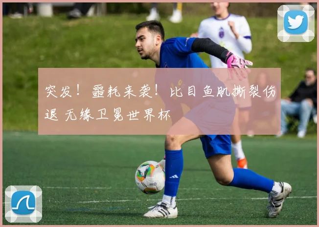 突发!噩耗来袭!比目鱼肌撕裂伤退 无缘卫冕世界杯