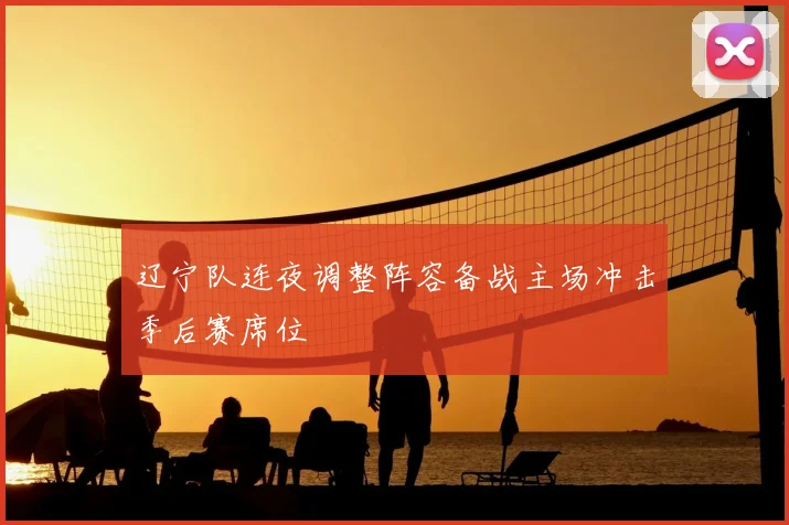 辽宁队连夜调整阵容备战主场冲击季后赛席位