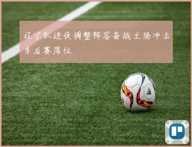 辽宁队连夜调整阵容备战主场冲击季后赛席位